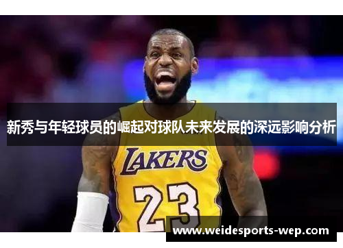 新秀与年轻球员的崛起对球队未来发展的深远影响分析