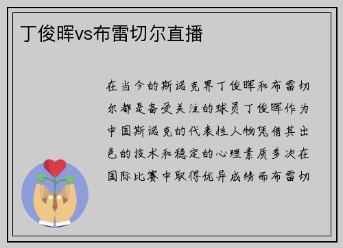 丁俊晖vs布雷切尔直播