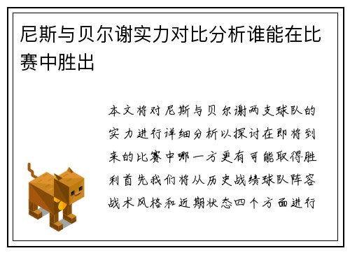 尼斯与贝尔谢实力对比分析谁能在比赛中胜出