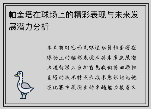 帕奎塔在球场上的精彩表现与未来发展潜力分析
